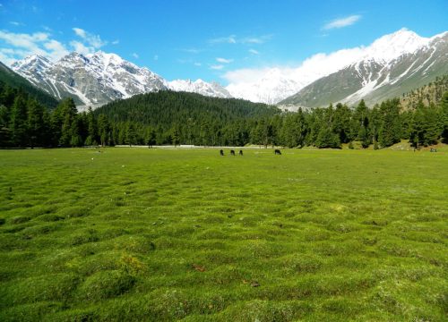 Rupal Valley and Mazeeno Pass